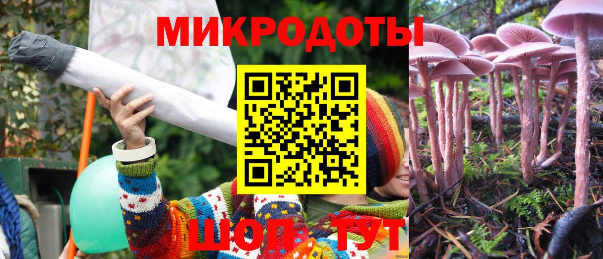 Псилоцибиновые грибы GOLDEN TEACHER  Вход с VPN  Рузаевка 